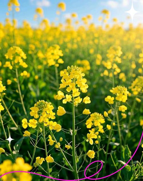 安州天气预报，安州天气预报一周 7天？-第1张图片-优品飞百科