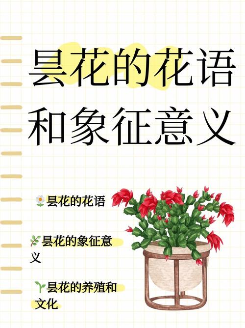 昙花花语是什么，昙花是啥？-第5张图片-优品飞百科