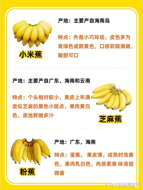 香蕉产地，香蕉品种大全，香蕉出产地是什么地方-第2张图片-优品飞百科