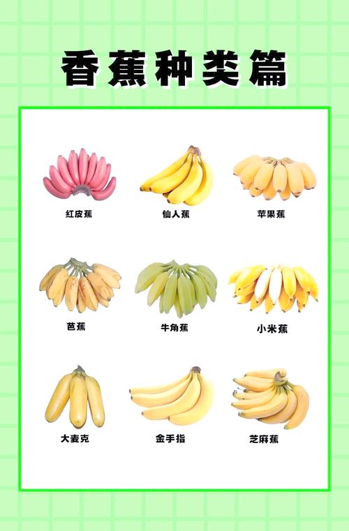 香蕉产地，香蕉品种大全，香蕉出产地是什么地方-第3张图片-优品飞百科