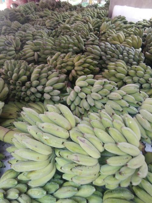 香蕉产地，香蕉品种大全，香蕉出产地是什么地方-第4张图片-优品飞百科