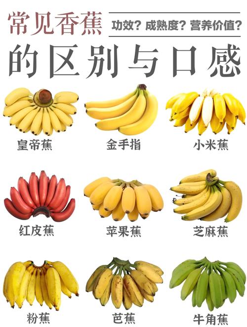 香蕉产地，香蕉品种大全，香蕉出产地是什么地方-第5张图片-优品飞百科