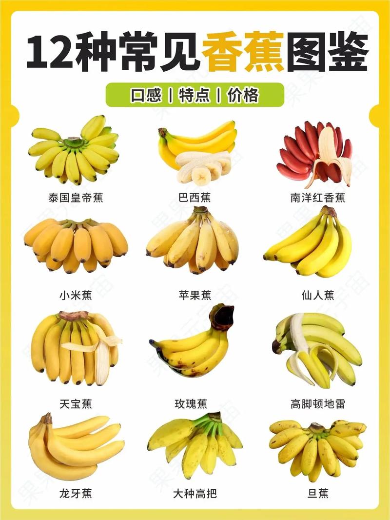 香蕉产地，香蕉品种大全，香蕉出产地是什么地方-第6张图片-优品飞百科