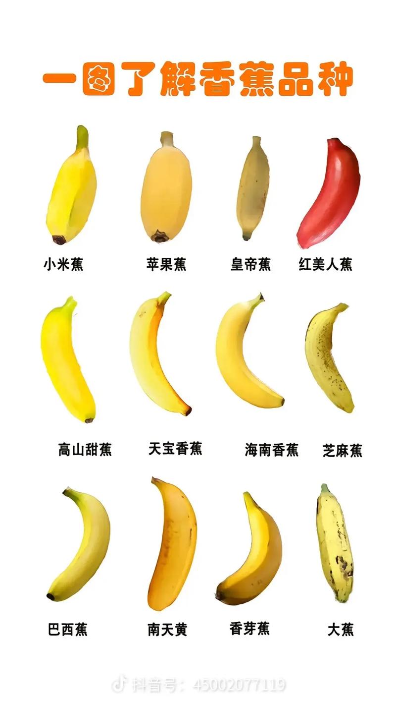 香蕉产地，香蕉品种大全，香蕉出产地是什么地方-第8张图片-优品飞百科