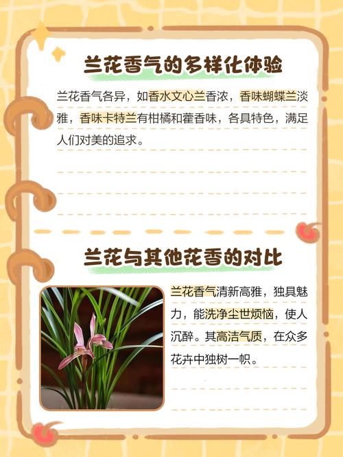 兰花的香味真的有毒吗，兰花的香味有毒吗?？