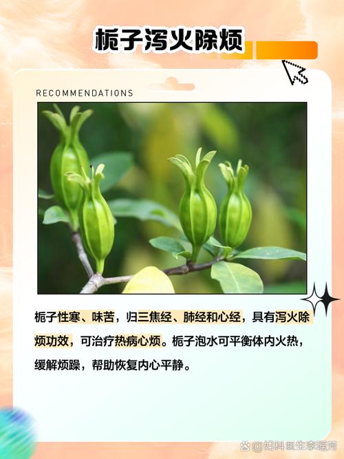 栀子花能泡水喝吗，泡水喝有什么作用，栀子花能泡茶吗?-第2张图片-优品飞百科