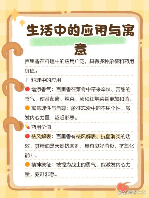 百里香花语，百里香象征什么？