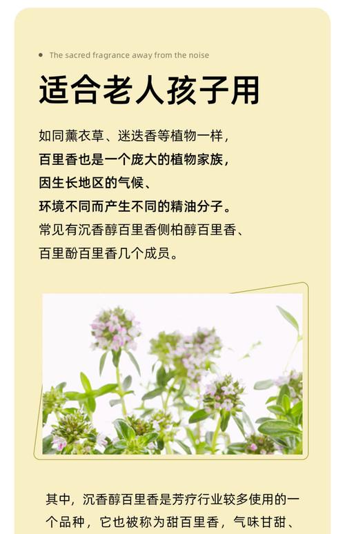 百里香花语,百里香象征什么?-第4张图片-优品飞百科 百里香花语,百里香象征什么?-第4张图片-优品飞百科