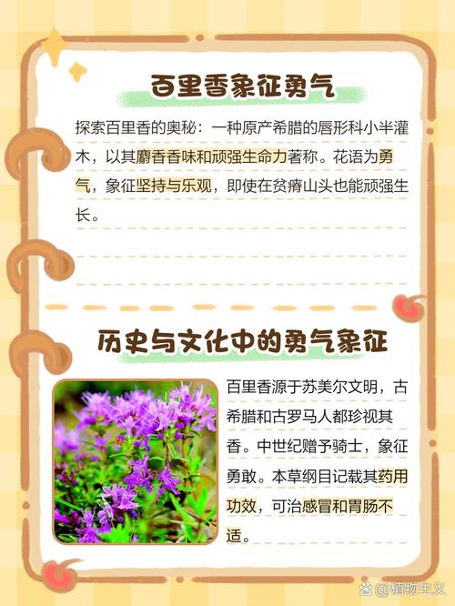 百里香花语,百里香象征什么?-第7张图片-优品飞百科 百里香花语,百里香象征什么?-第7张图片-优品飞百科