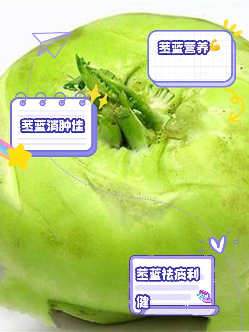 苤蓝的功效与作用?苤蓝的功效与作用吃法?-第2张图片-优品飞百科 苤蓝的功效与作用?苤蓝的功效与作用吃法?-第2张图片-优品飞百科