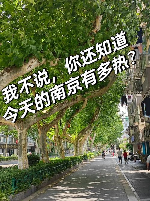 杭州滨江天气预报，杭州滨江天气预报30天准确？-第2张图片-优品飞百科