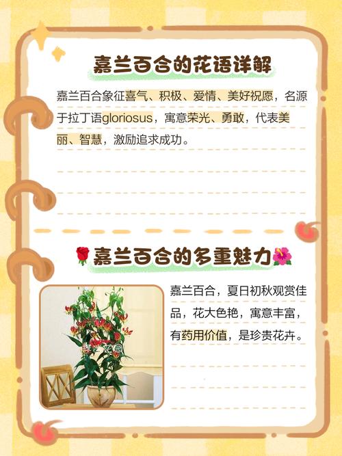 嘉兰的花语及寓意?嘉兰是兰花吗?-第1张图片-优品飞百科 嘉兰的花语及寓意?嘉兰是兰花吗?-第1张图片-优品飞百科