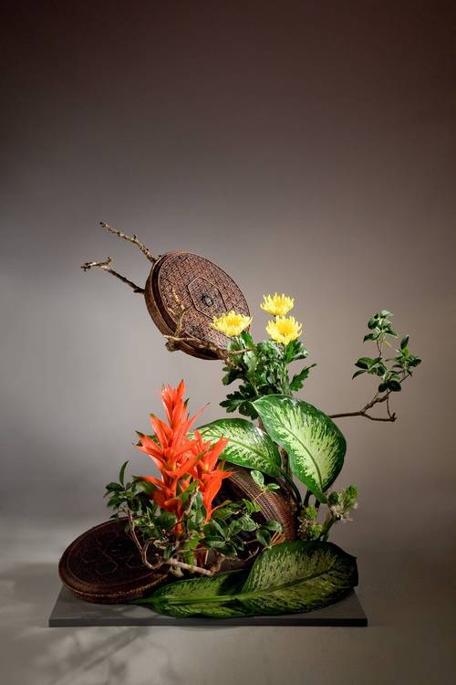 嘉兰的花语及寓意?嘉兰是兰花吗?-第2张图片-优品飞百科 嘉兰的花语及寓意?嘉兰是兰花吗?-第2张图片-优品飞百科