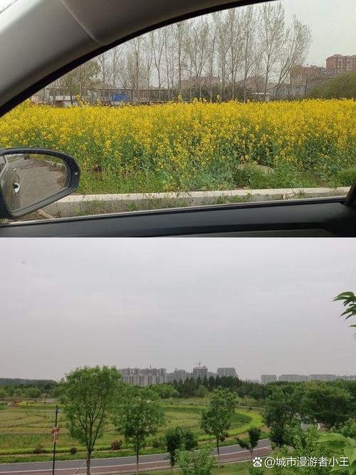 平舆县天气预报15天，平舆县天气预报30天查询？-第1张图片-优品飞百科