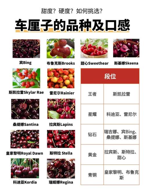 lapins车厘子是什么品种，lapins车厘子是什么牌子