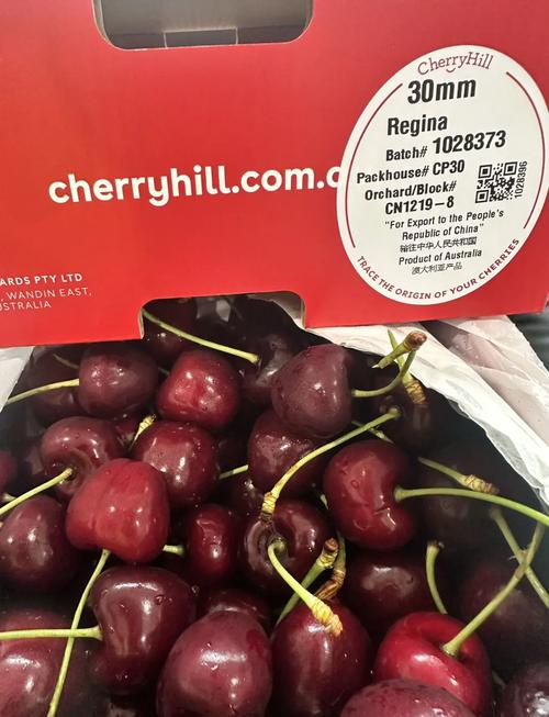 lapins车厘子是什么品种，lapins车厘子是什么牌子-第3张图片-优品飞百科