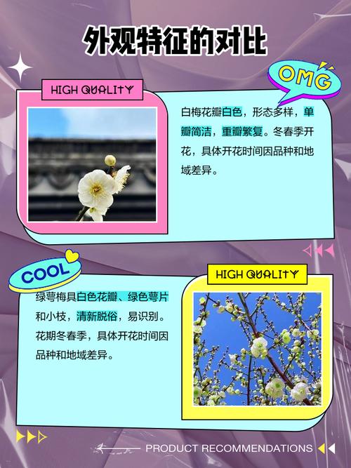 绿梅花的药用价值，绿梅花是什么中药？-第2张图片-优品飞百科