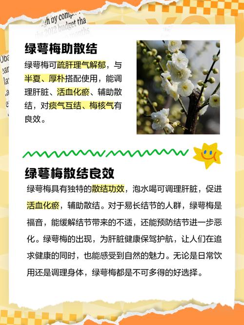绿梅花的药用价值，绿梅花是什么中药？-第3张图片-优品飞百科