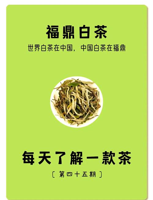 白茶的功效与作用,白茶的功效与作用和好处-第2张图片-优品飞百科 白茶的功效与作用,白茶的功效与作用和好处-第2张图片-优品飞百科