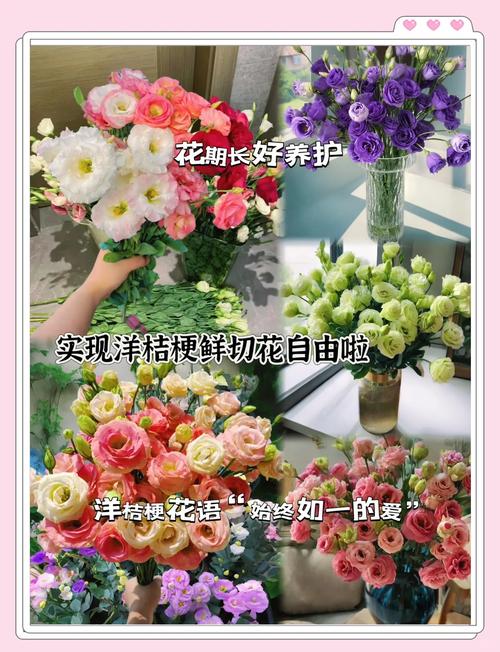 洋桔梗能放卧室吗？洋桔梗适合放房间么？-第1张图片-优品飞百科