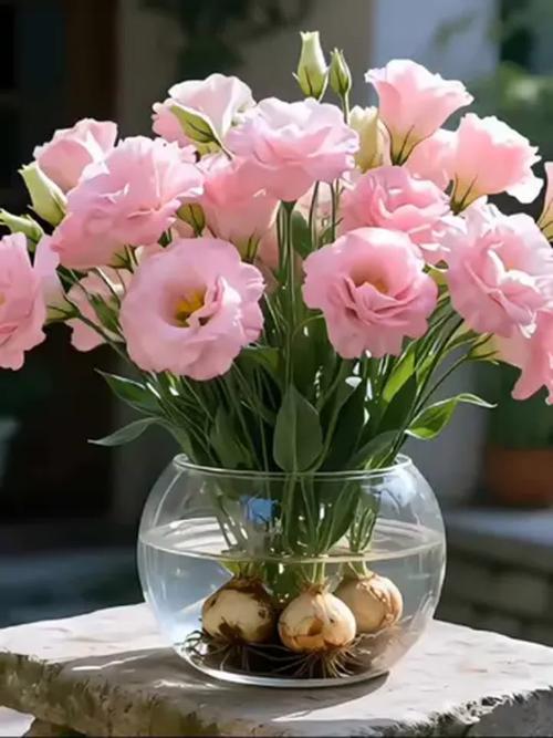 洋桔梗能放卧室吗？洋桔梗适合放房间么？-第3张图片-优品飞百科