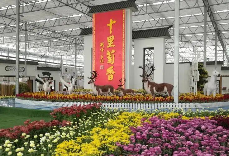 沾化天气预报查询15天，最新沾化天气预报-第3张图片-优品飞百科