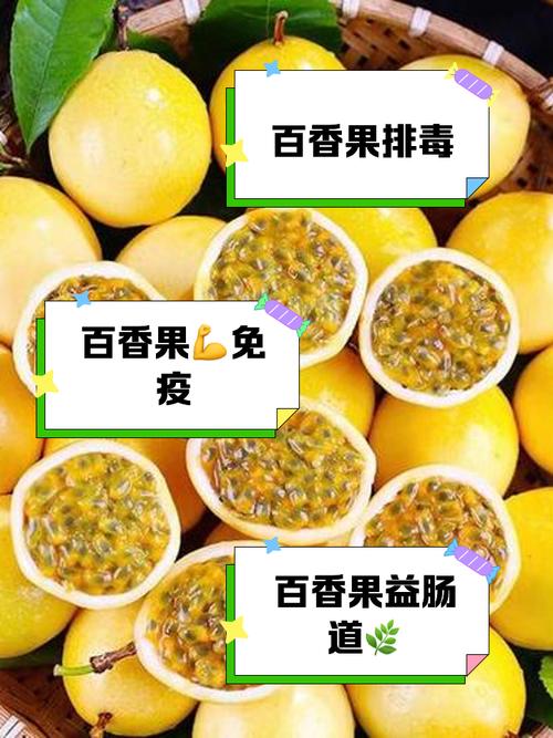 百香果是凉性还是热性，有什么副作用和禁忌吗，百香果属于凉性还是热性水果-第3张图片-优品飞百科