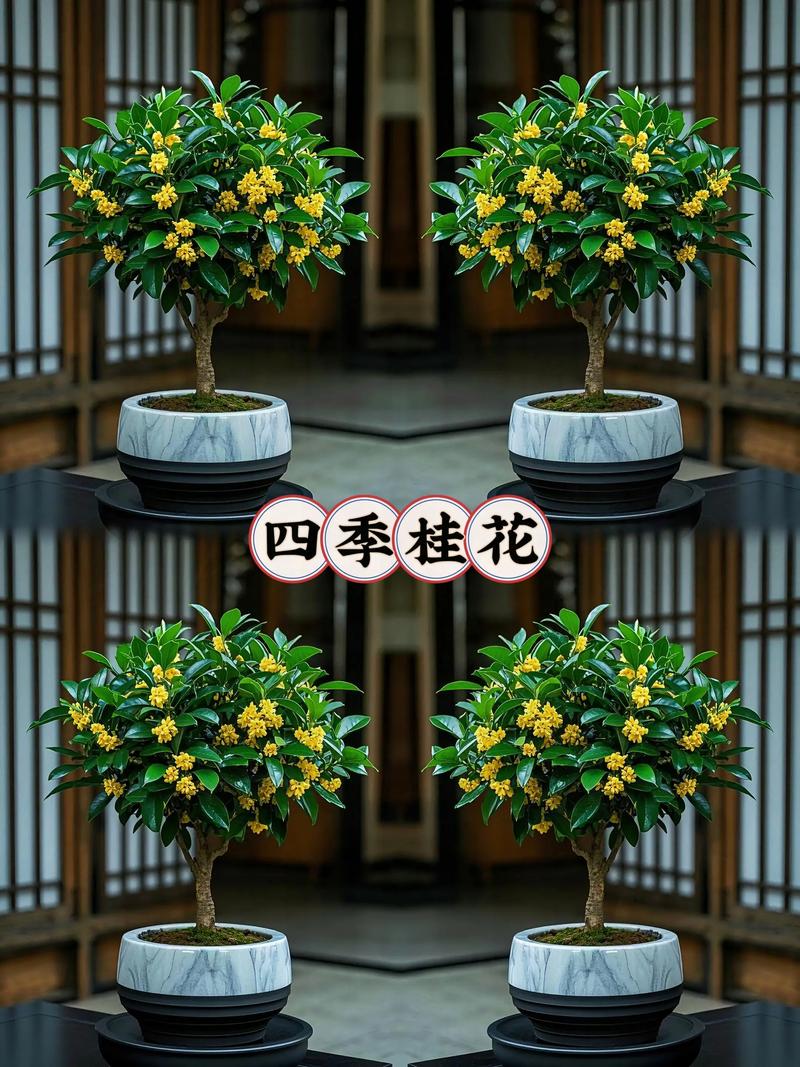 适合露天四季盆栽植物？适合露天四季盆栽植物的花？-第4张图片-优品飞百科