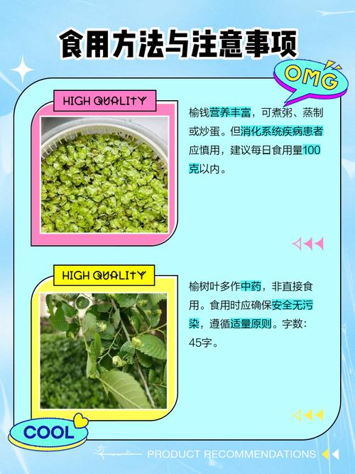 榆钱的养殖方法和注意事项？榆钱盆栽怎么养？-第3张图片-优品飞百科