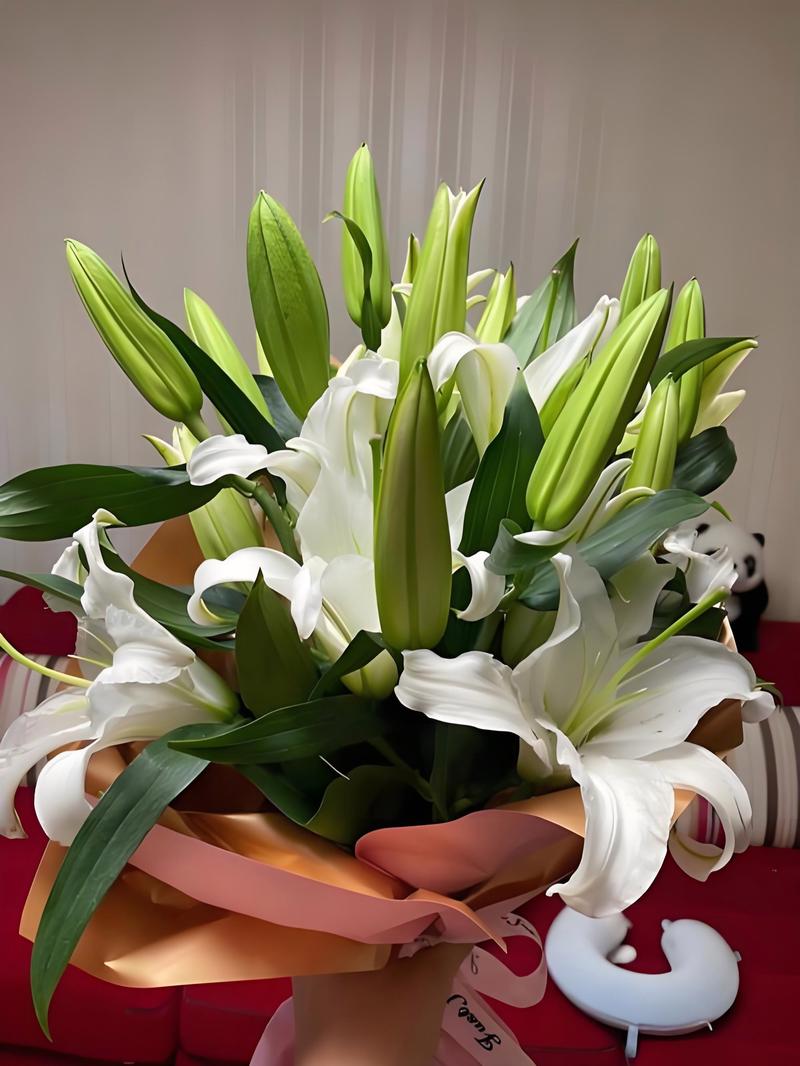 看病人送什么花，看病人送什么花寓意好-第3张图片-优品飞百科