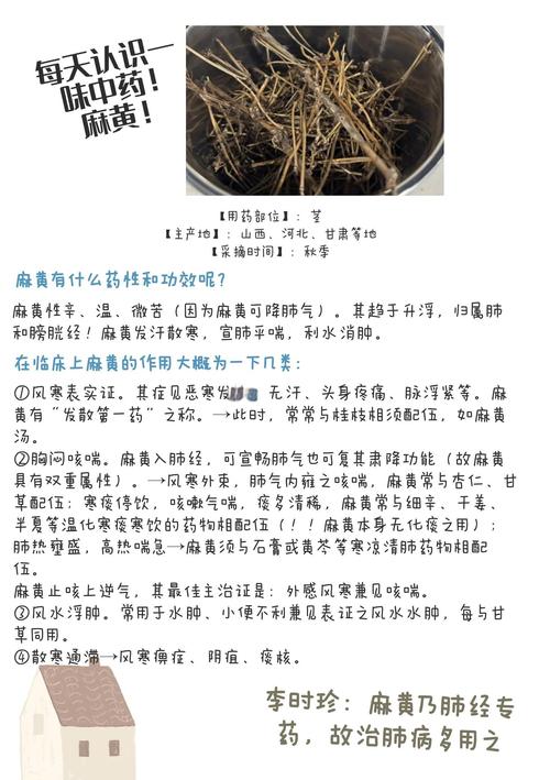 草麻黄的养殖方法？草麻黄药用价值？-第1张图片-优品飞百科