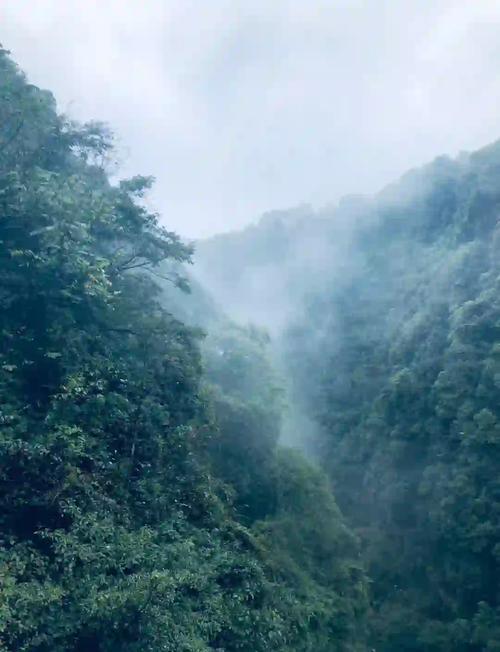 近期天气预报七天，西双版纳近期天气预报七天-第3张图片-优品飞百科