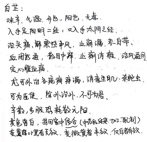 白芷的功效和作用？白芷的功效与作用炖肉怎么做？-第2张图片-优品飞百科
