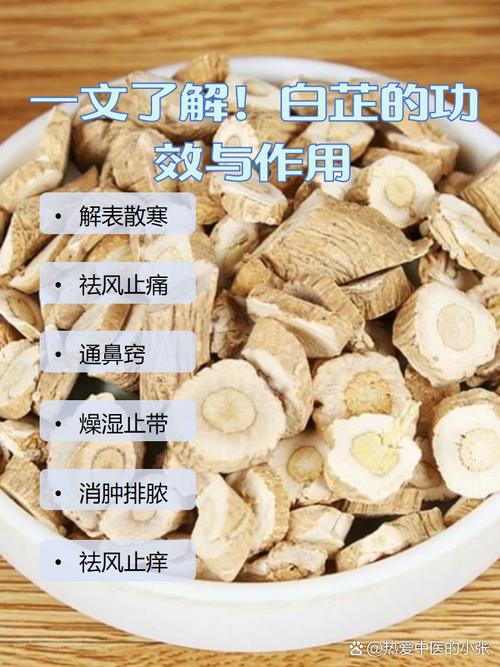 白芷的功效和作用？白芷的功效与作用炖肉怎么做？-第3张图片-优品飞百科