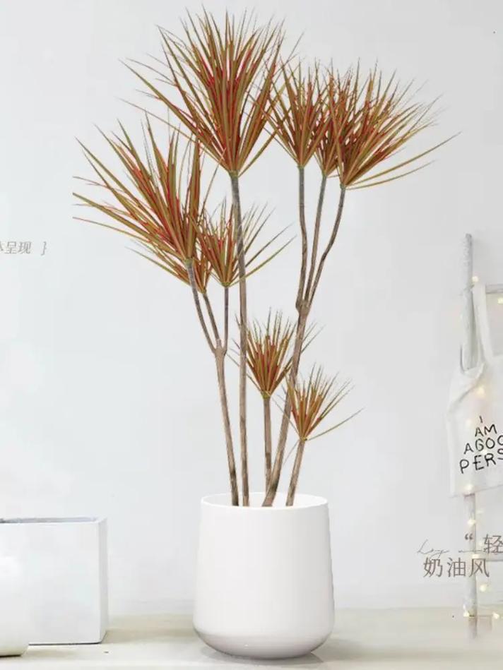 千年木的功效与作用，千年木的功效与作用及禁忌-第2张图片-优品飞百科