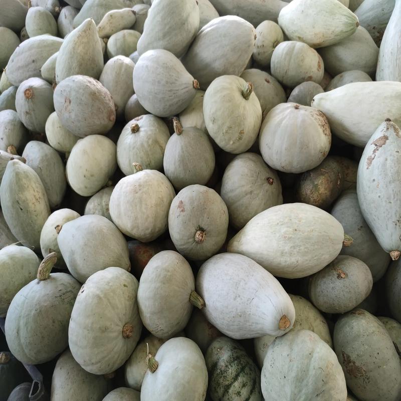 孕妇可以吃南瓜吗，什么人不能吃南瓜？孕妇适合吃南瓜吗？-第8张图片-优品飞百科