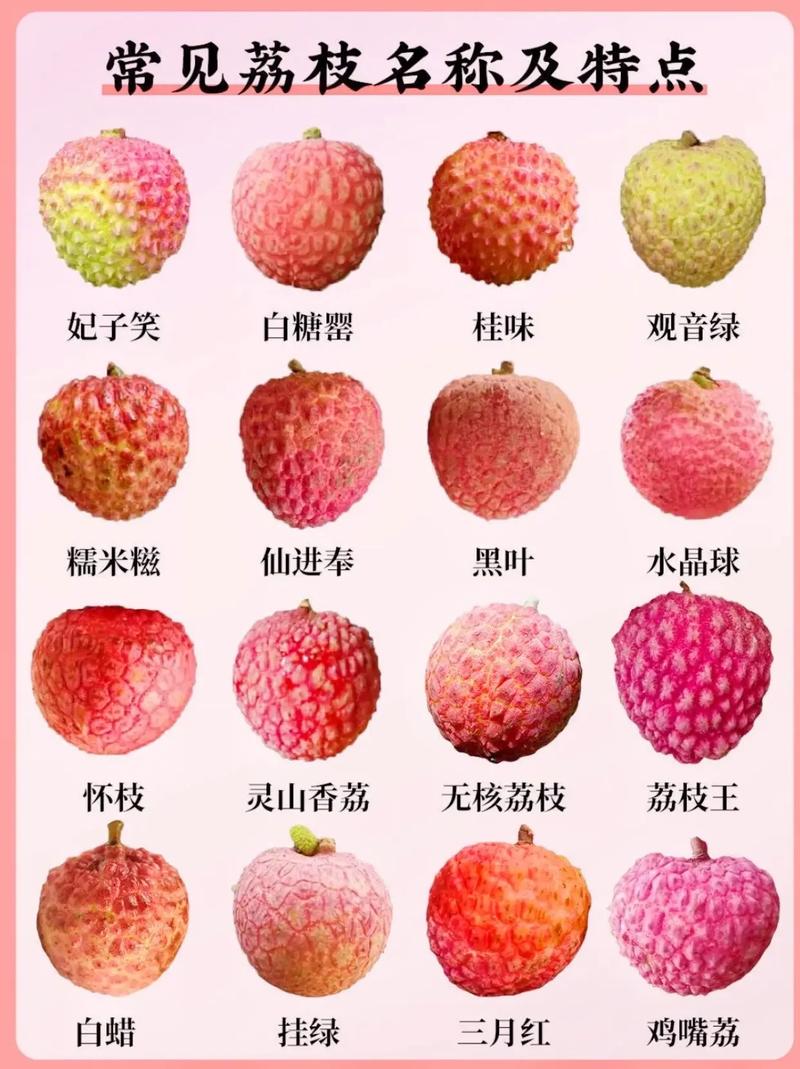 荔枝几月份成熟，荔枝是什么季节的水果，荔枝几月成熟?？-第1张图片-优品飞百科