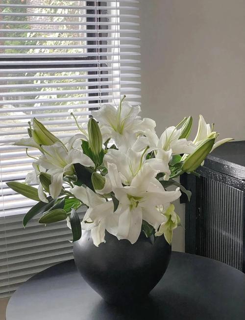 百合和香水百合的区别,香水百合跟百合区别?-第6张图片-优品飞百科 百合和香水百合的区别,香水百合跟百合区别?-第6张图片-优品飞百科