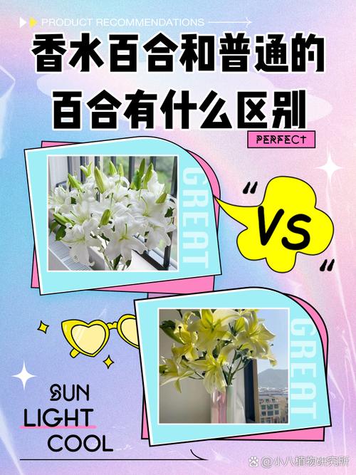百合和香水百合的区别,香水百合跟百合区别?-第7张图片-优品飞百科 百合和香水百合的区别,香水百合跟百合区别?-第7张图片-优品飞百科