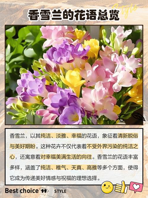 香雪兰的花诗花语，香雪兰花的寓意和象征-第4张图片-优品飞百科