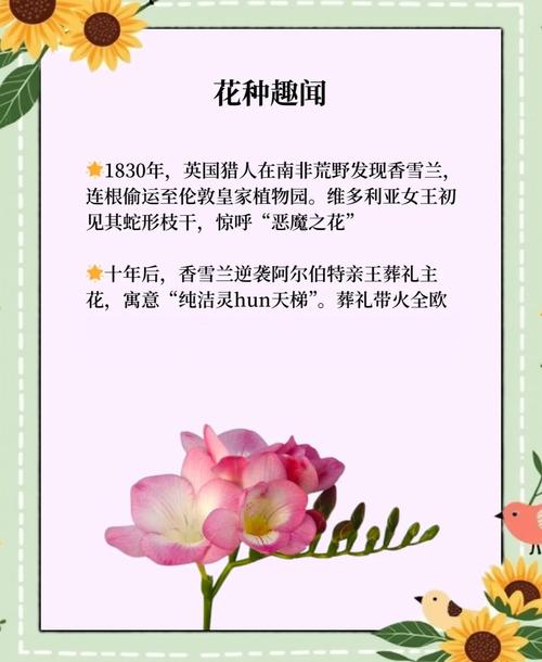 香雪兰的花诗花语，香雪兰花的寓意和象征-第7张图片-优品飞百科