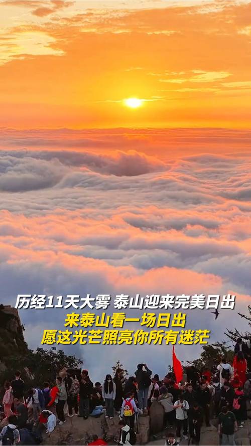 泰山区天气预报，泰山区天气预报30天-第1张图片-优品飞百科