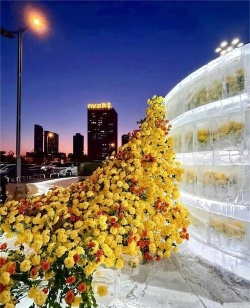 哈尔滨适合养什么花，市花和市树是什么，哈尔滨室外适合种什么花？-第8张图片-优品飞百科