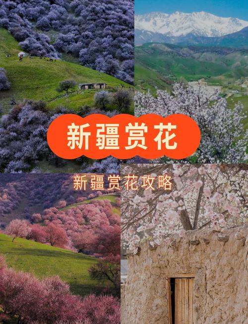 裕民县天气预报，塔城地区裕民县天气预报？-第4张图片-优品飞百科