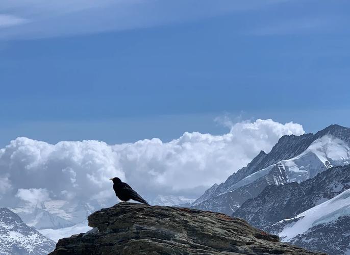 近半月天气预报，长葛近半月天气预报？-第2张图片-优品飞百科