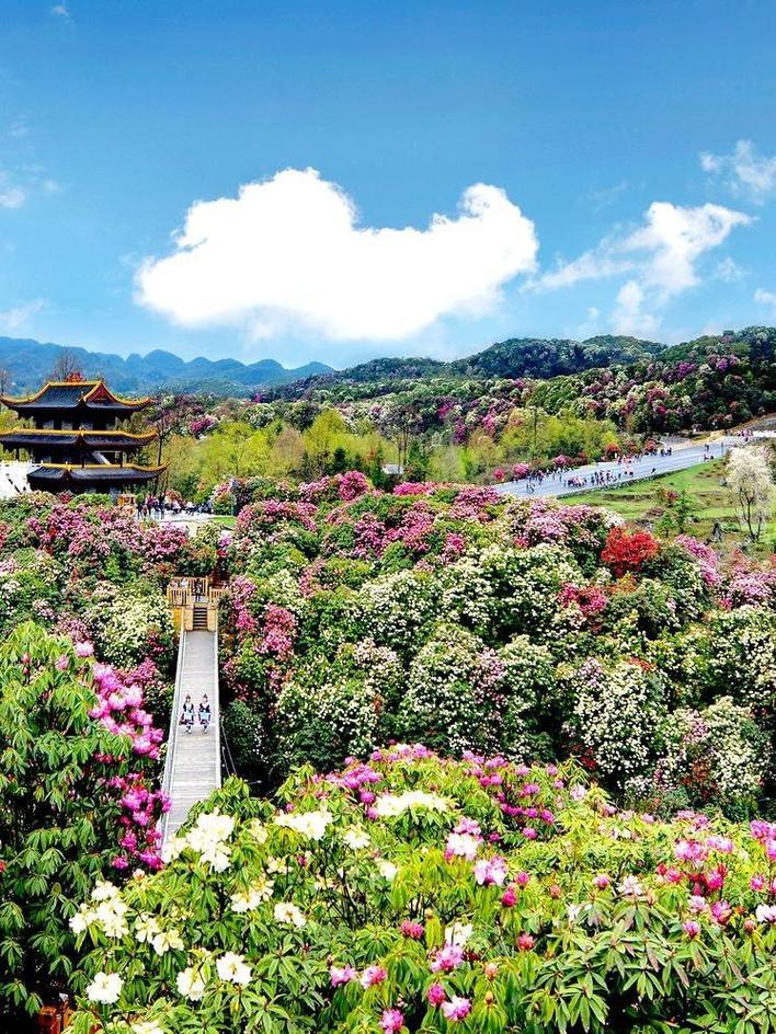 绥化市天气预报一周内,绥化地区天气预报一周?-第2张图片-优品飞百科 绥化市天气预报一周内,绥化地区天气预报一周?-第2张图片-优品飞百科