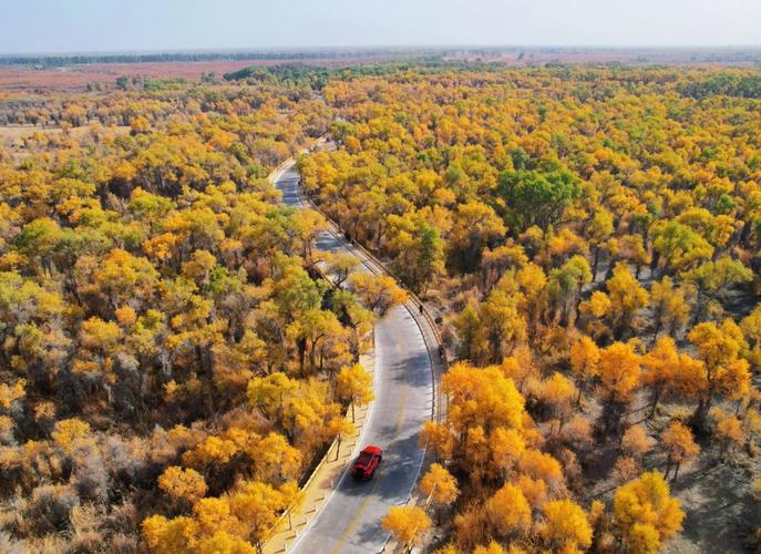 泽普天气预报，泽普天气预报30天？-第6张图片-优品飞百科