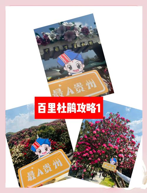 樊城区天气预报？樊城区天气预报襄阳近15天天气？-第5张图片-优品飞百科