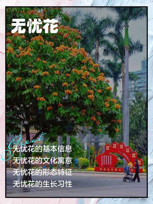 无忧花的花语和典故，无忧花的花语和典故有关？-第1张图片-优品飞百科