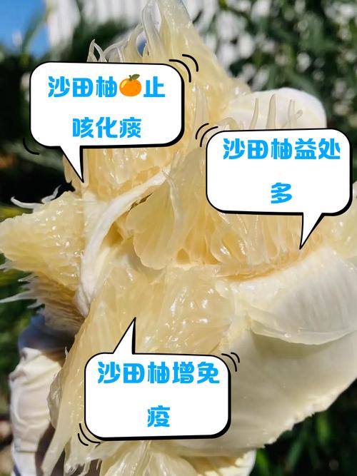 沙田柚的功效与作用？沙田柚的功效与作用吃什么降血糖快？-第4张图片-优品飞百科